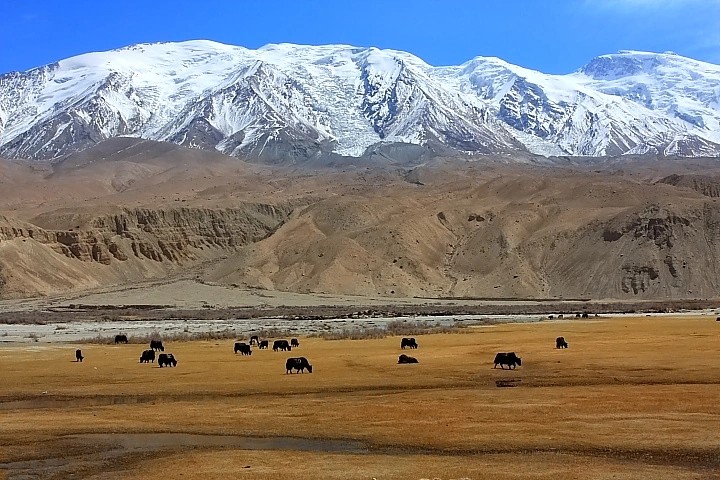 塔什库尔干今天天气