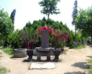 郫县天气预报40天